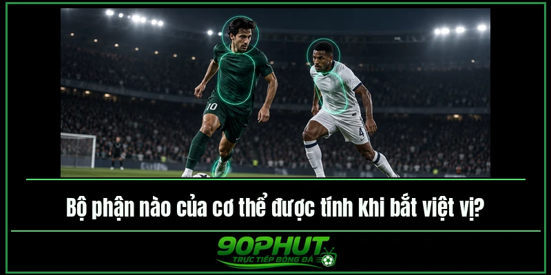 Bộ phận nào của cơ thể được tính khi bắt việt vị Bộ phận nào của cơ thể được tính khi bắt việt vị